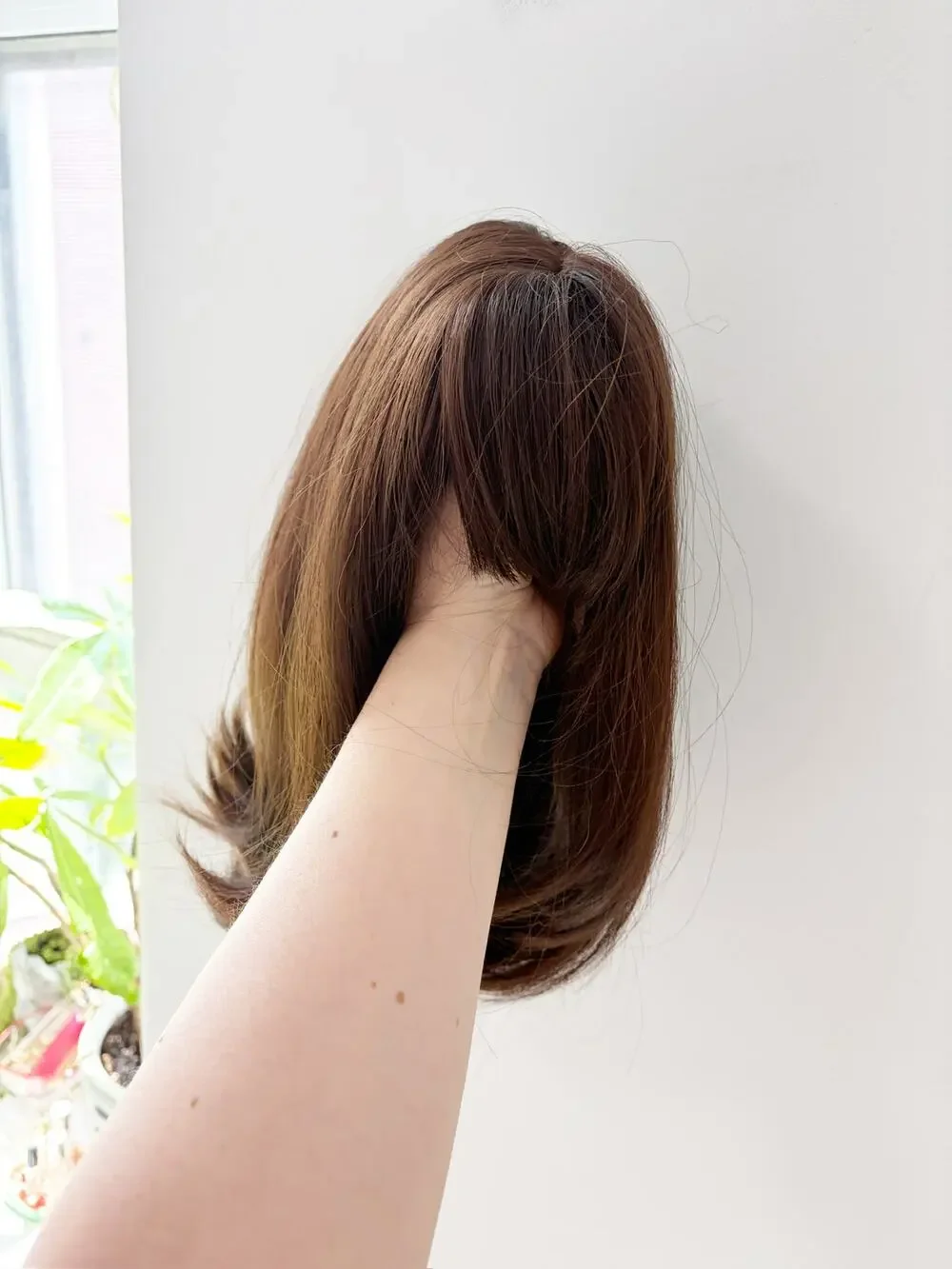 NEW Women's Brown Short Straight Bob Style Wig with Bangs